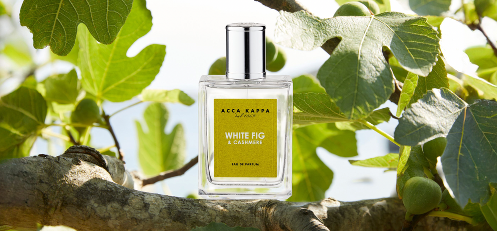 ACCA KAPPA EDP White Fig Cashmere