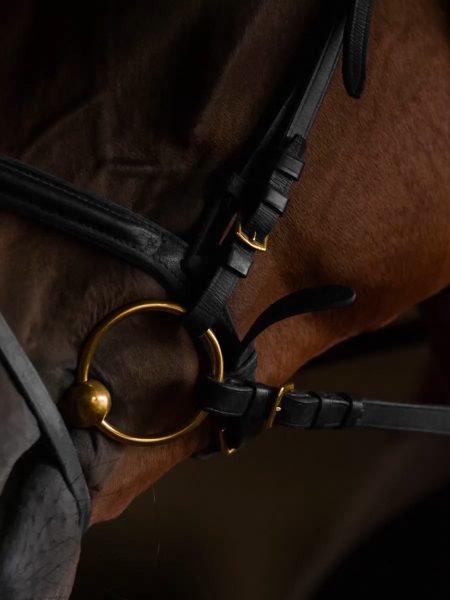 MAISON Crivelli Oud Stallion