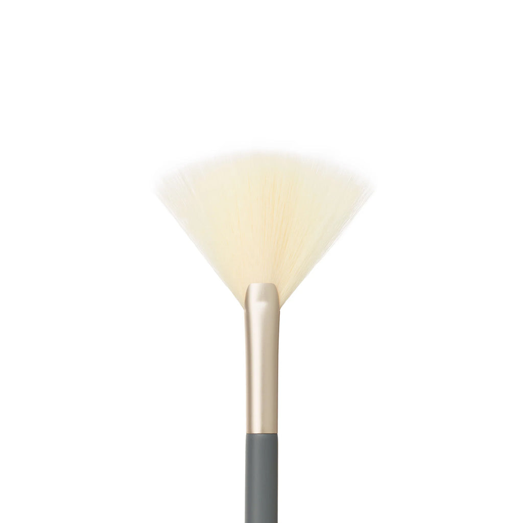 JANE IREDALE MAKE-UP BRUSHES Fan Brush PRO