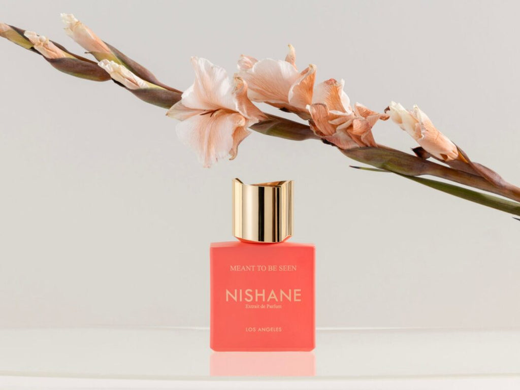 NISHANE Meant To Be Seen