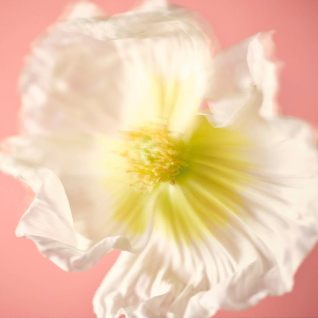 NUORI EDP Midsommer