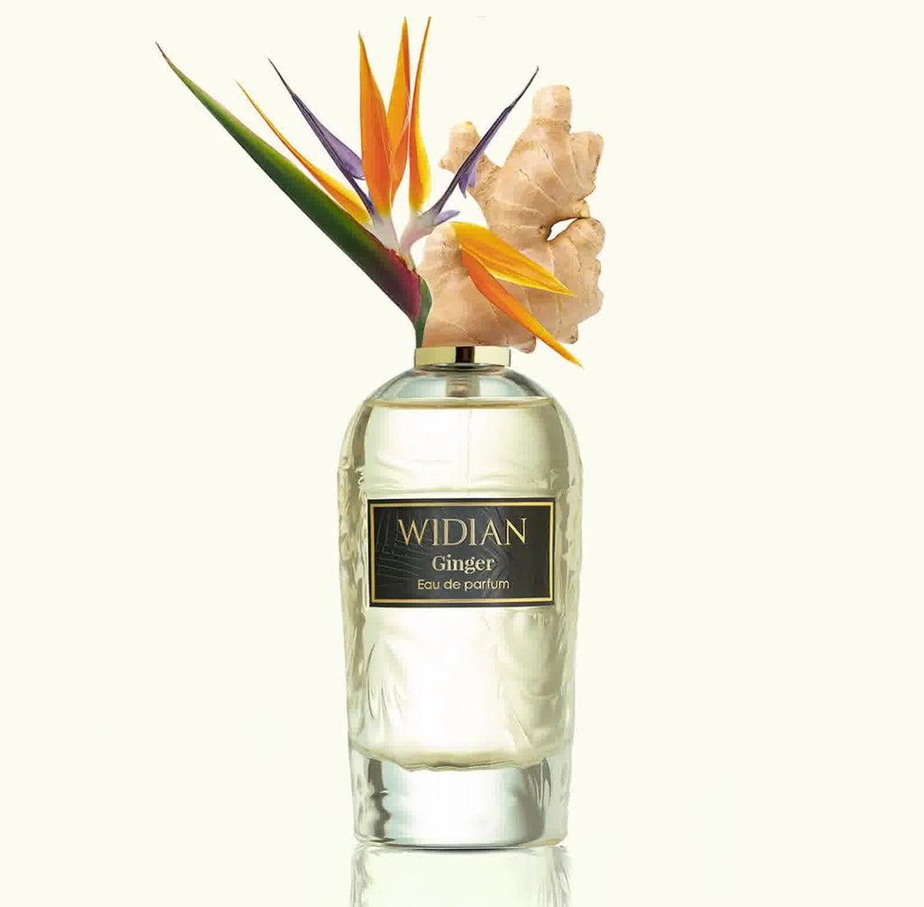 WIDIAN Rose Arabia Ginger