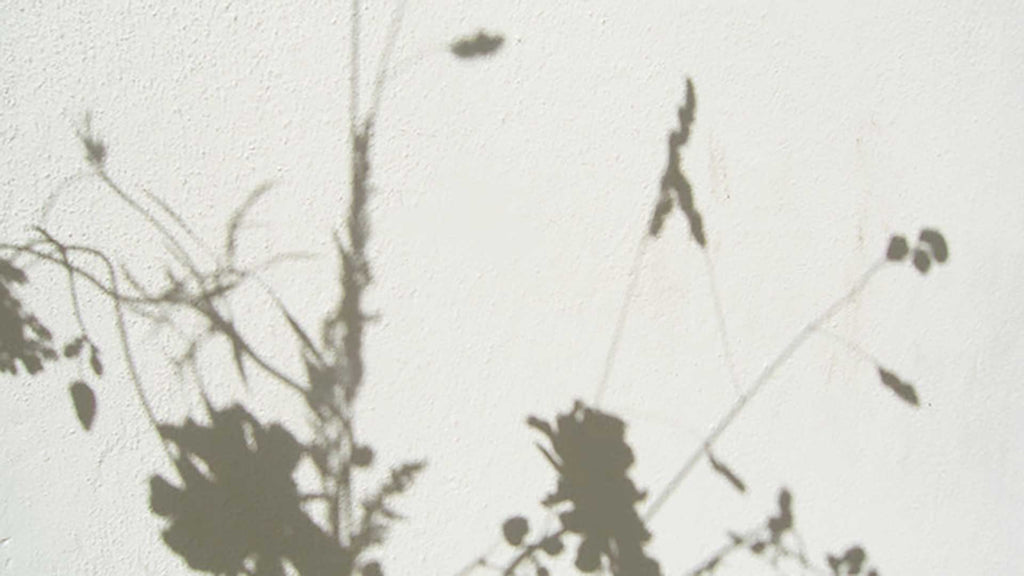 MILLER HARRIS Lumière Dorée