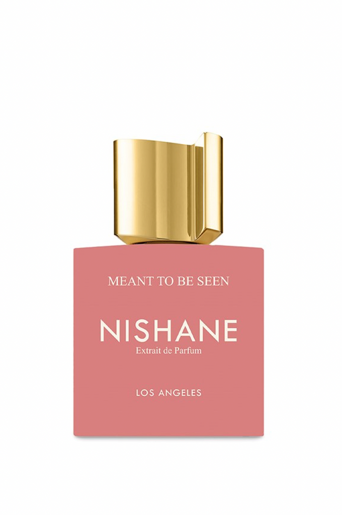NISHANE Meant To Be Seen