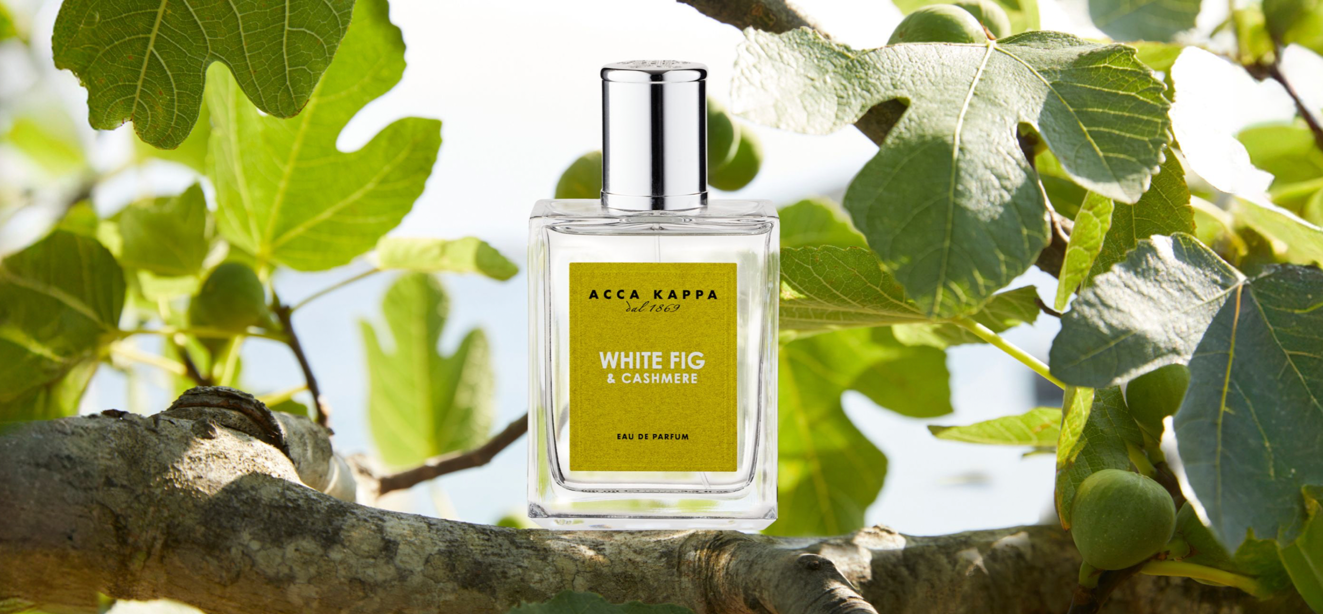 ACCA KAPPA EDP White Fig & Cashmere | Beauty by Kroonen