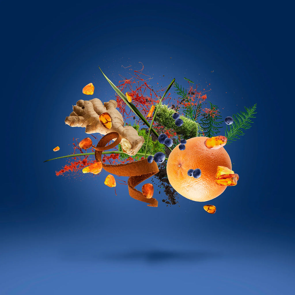 XERJOFF JTC Torino 25