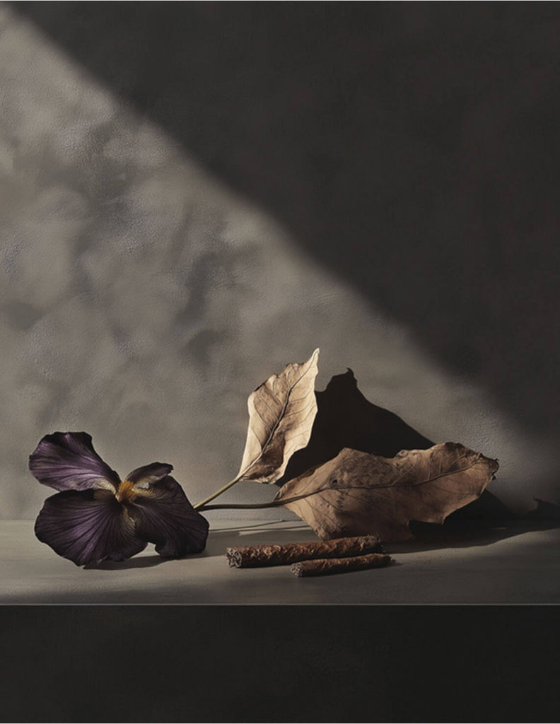 CHAMBRE52 tobacco memories