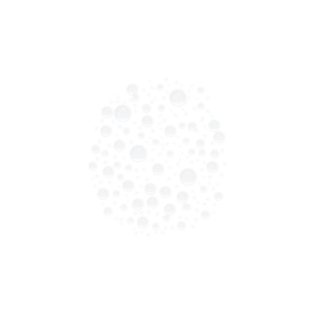 EviDens de Beauté The Rebalancing Essence
