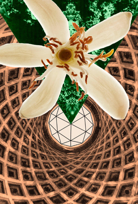 HERMETICA PARIS Megaflower