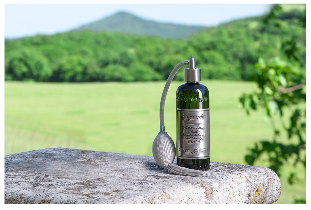 SEED TO SKIN Borgo Air Room Spray