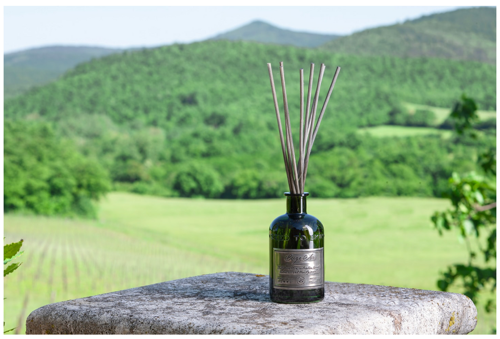 SEED TO SKIN Borgo Air Diffuser