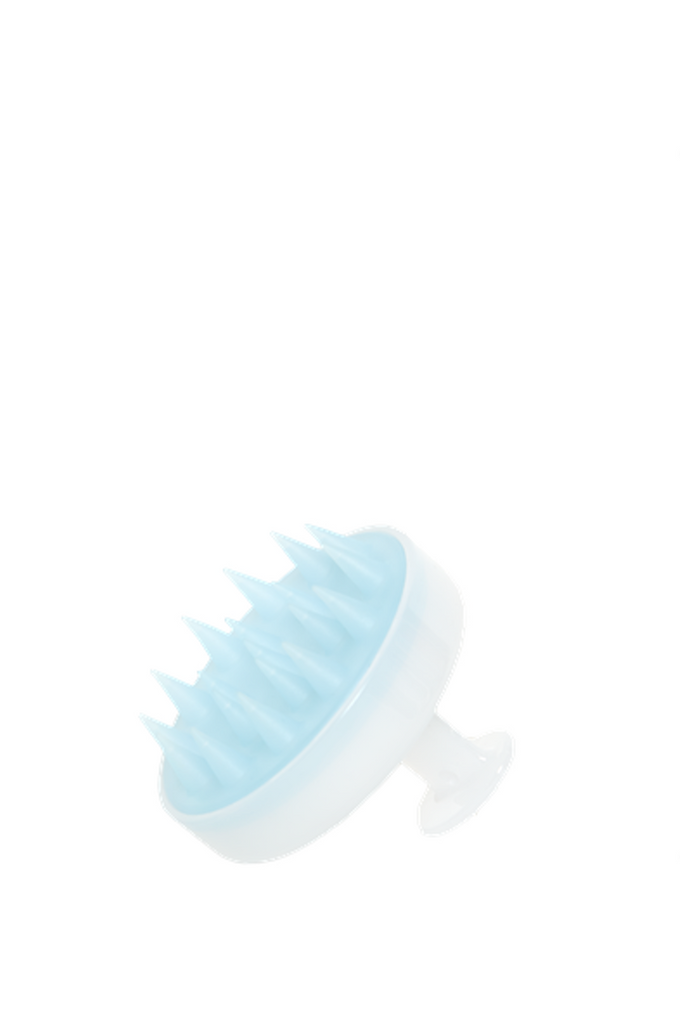 HAIRSTORY Shower Brush