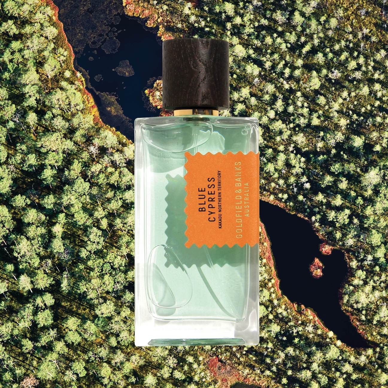 香水(ユニセックス) GOLDFIELD & BANKS BLUE CYPRESS 100ml Blue Cypress Eau de Parfum – Cool Australian Cypress Blue